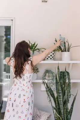 Plantas de varanda que são difíceis de matar