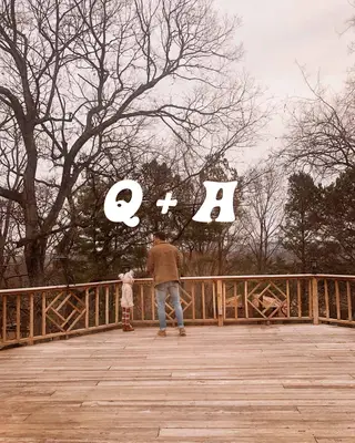 Elsie's Forever Home Q+A