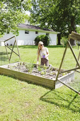 Warum ich es liebe, ein Anfängergärtner zu sein