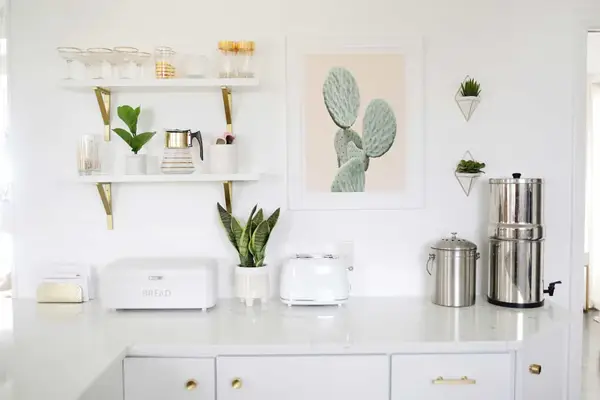 5 Easy Ways To Declutter Your Countertop (This Time For Good!)