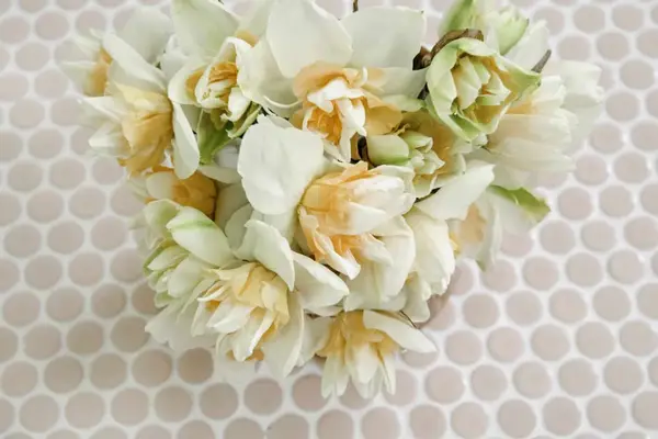 How to Arrange Daffodils