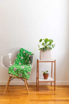 clear chair with green and pink blanket on it next to a stand with a plant on the top and bottom shelf