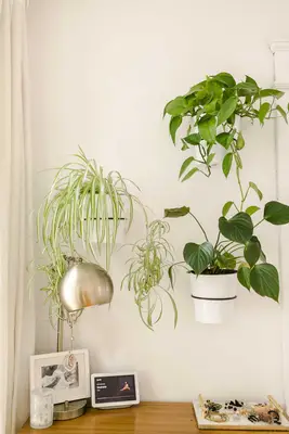 At Home with Andi Teggart in Nashville, Tennessee