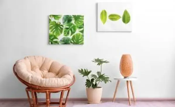 Stilvolles Zimmerinterieur mit tropischen Blättern und Papasan-Stuhl