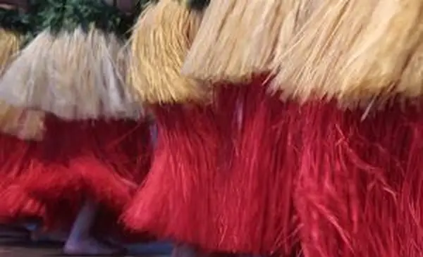 Comment faire une jupe d'herbe