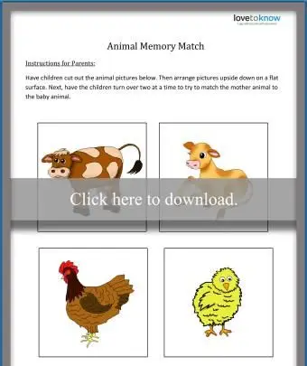 Gra Meczowa Pamięci Zwierząt