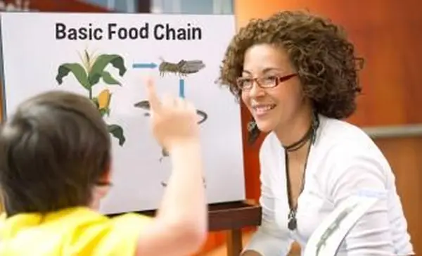 実践的な学習のための食物連鎖活動とゲーム