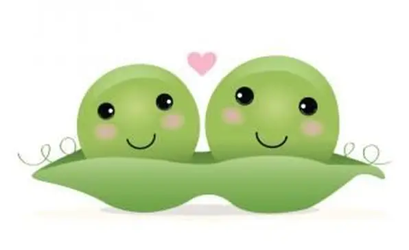 Jak uczyć języka figuratywnego