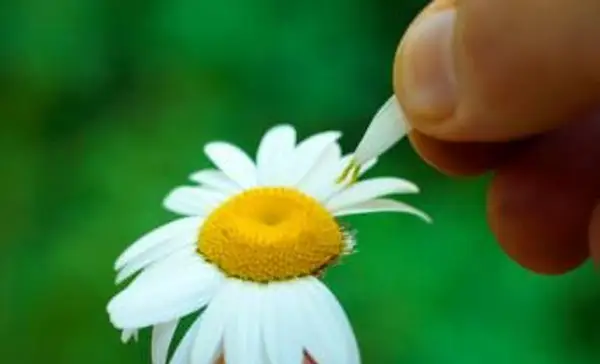 황소 자리 남자가 당신을 좋아한다는 신호