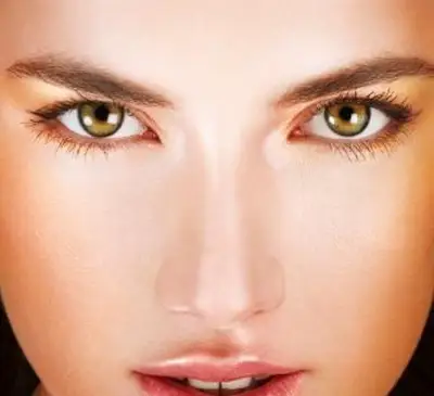 Jak wyglądają skorpiony?