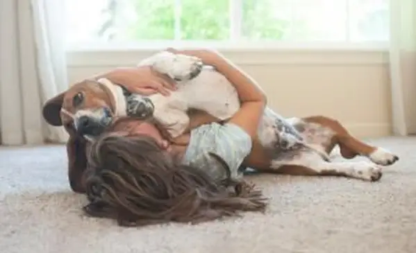 Nettoyer la moquette avec des enfants et des animaux