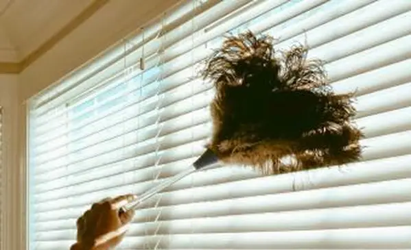 Mujer limpia persianas con plumero