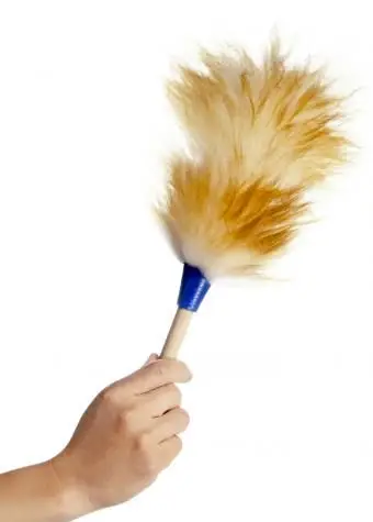 Mujer portátil de limpieza con plumero