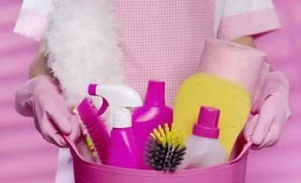 Cómo limpiar tipos comunes de plumeros