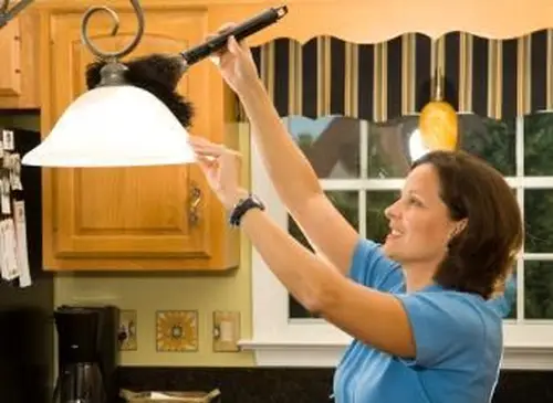 Jak czyścić abażury: różne typy i problemy Issue