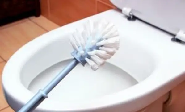 So reinigen Sie eine Toilettenbürste mit einfachen Methoden