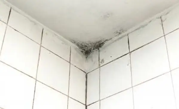 Forma do czyszczenia sufitów łazienkowych