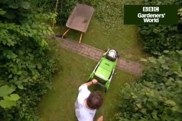 Hvordan du kan bruke hedgebehandlinger til god bruk