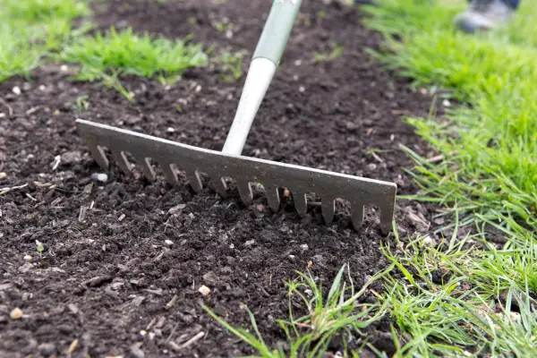 How to sow grass seed – raking in the grass seed