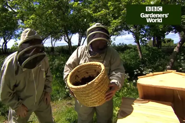 トップバービーハイブを維持する（パート2）