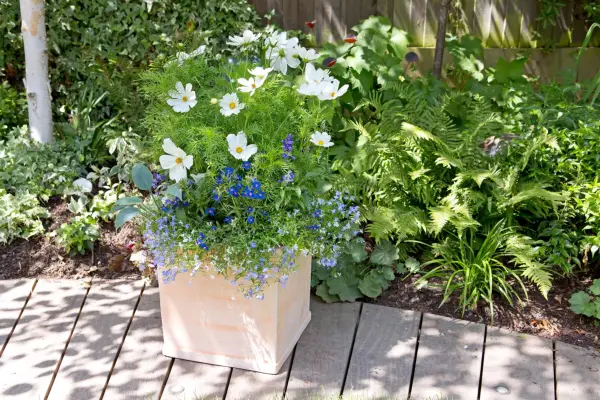 Gardening mistakes - heavy plant pot