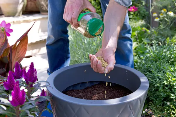 Mixing in slow-release fertiliser