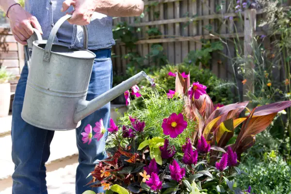 Watering in the finished container