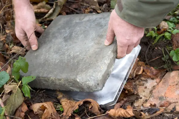 Laying a plastic lid over the leaves