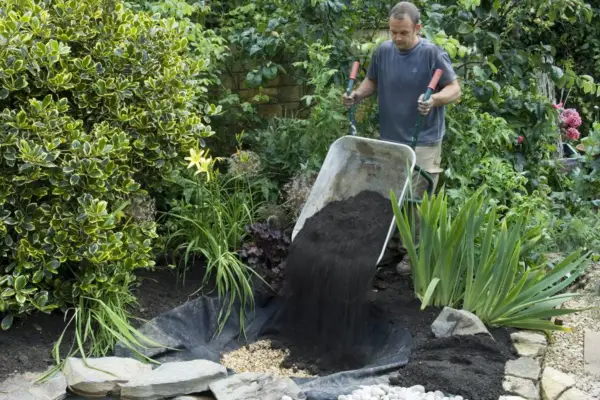 Fill the hole with excavated soil