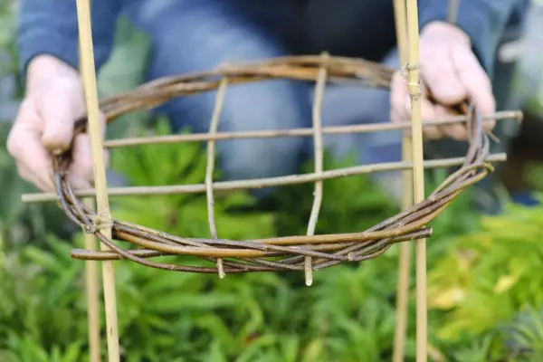 כיצד להשתמש תומכי צמחים