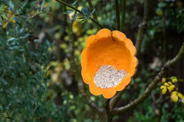 Hvordan lage en gresskarfuglmater