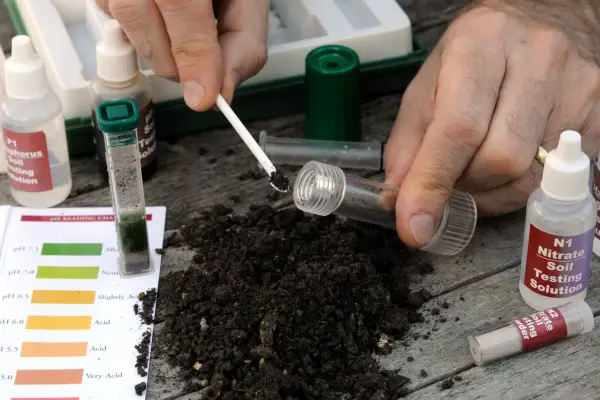Adding soil to test tubes