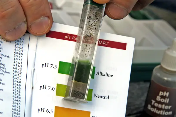 Soil pH test result