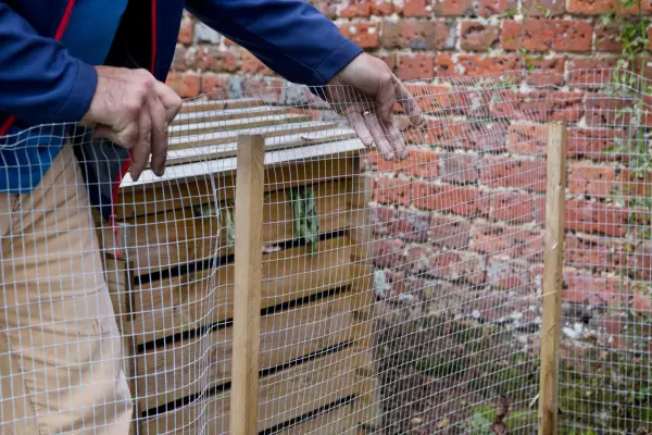 Stretching wire mesh around the posts