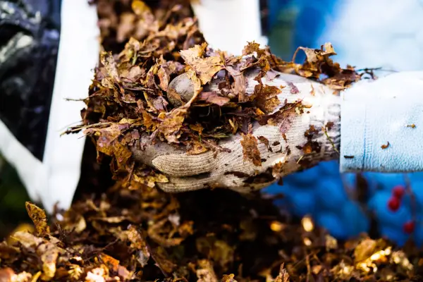 Adding leaves to the cage