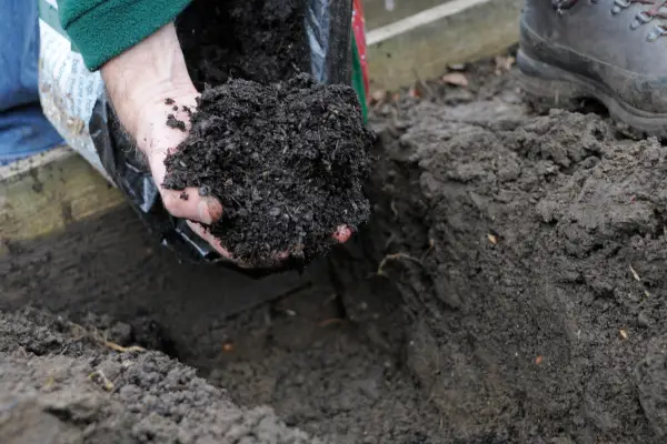 Adding organic matter to the trench