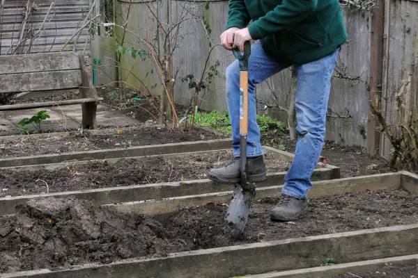 Come scavare i letti in inverno