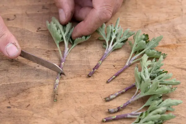Cutting below a leaf node