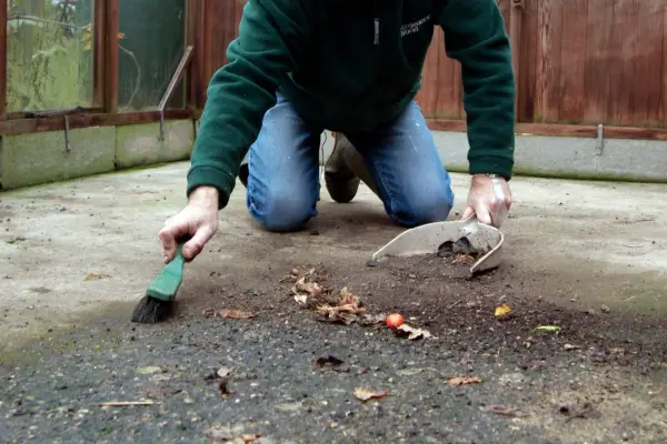 Brushing the greenhouse floor