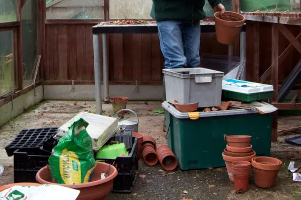 Clearing the greenhouse