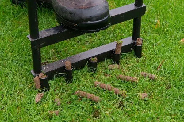 Aerating the lawn. Photo: Tim Sandall
