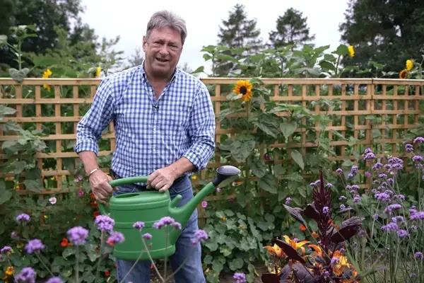 How to water plants effectively