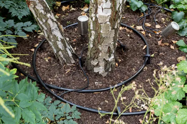 How to set up an automatic watering system - seep hose placed around a tree
