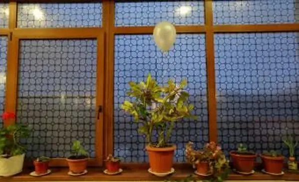 Comment utiliser différents types de films pour vitres étape par étape