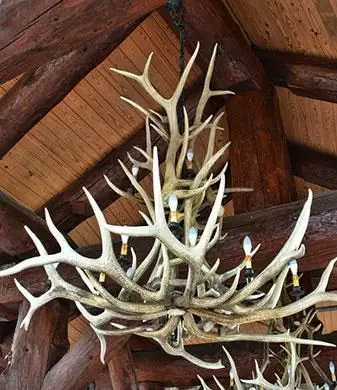 Wie man Geweih-Kronleuchter baut: Eine einfache Anleitung für Anfänger