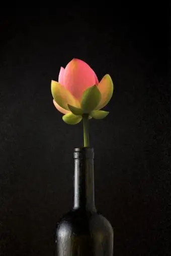 Váza na fľašu vína