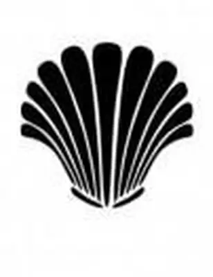 conchiglia 2 stencil