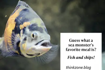 Peixes exóticos de aquário