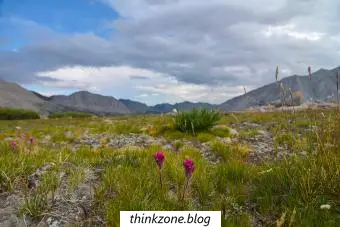 Alpentundra in der Sierra Nevada