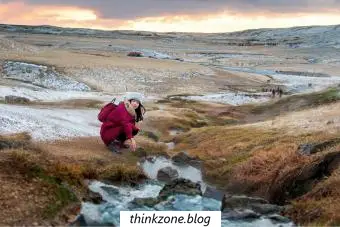 42 Fakten zur Tundra, die Kindern helfen, mehr über dieses kalte Biom zu erfahren